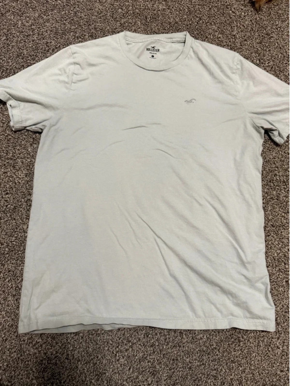 Hollister Men’s Large White Cream T Shirt Embroidered Seagull Logo 100% Cotton